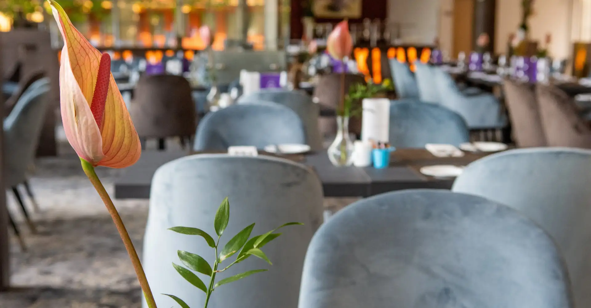 hotel-azur-premium-3-2024-04.webp
